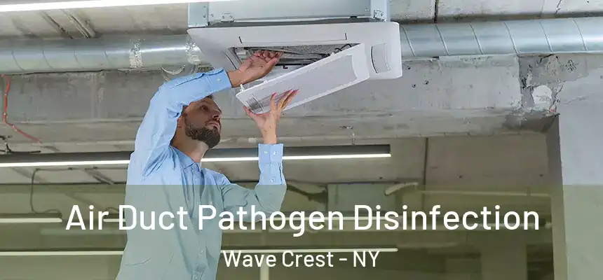  Air Duct Pathogen Disinfection Wave Crest - NY
