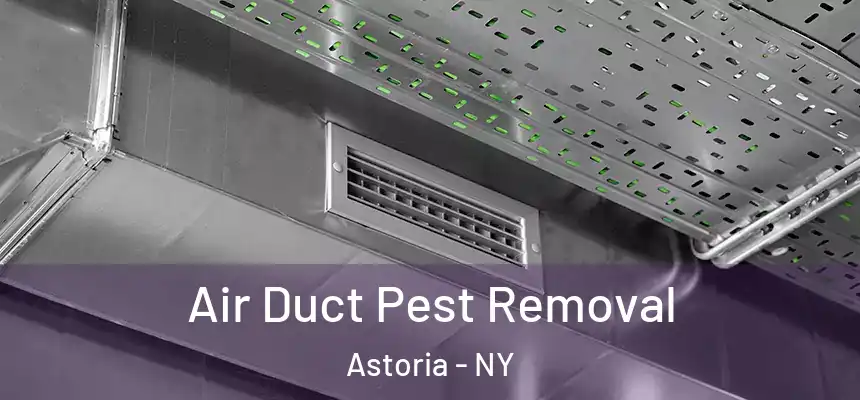 Air Duct Pest Removal Astoria - NY