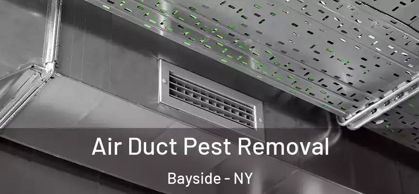  Air Duct Pest Removal Bayside - NY