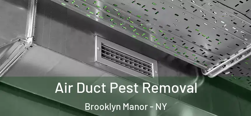  Air Duct Pest Removal Brooklyn Manor - NY