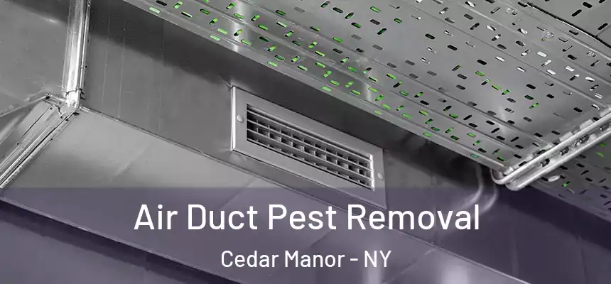 Air Duct Pest Removal Cedar Manor - NY