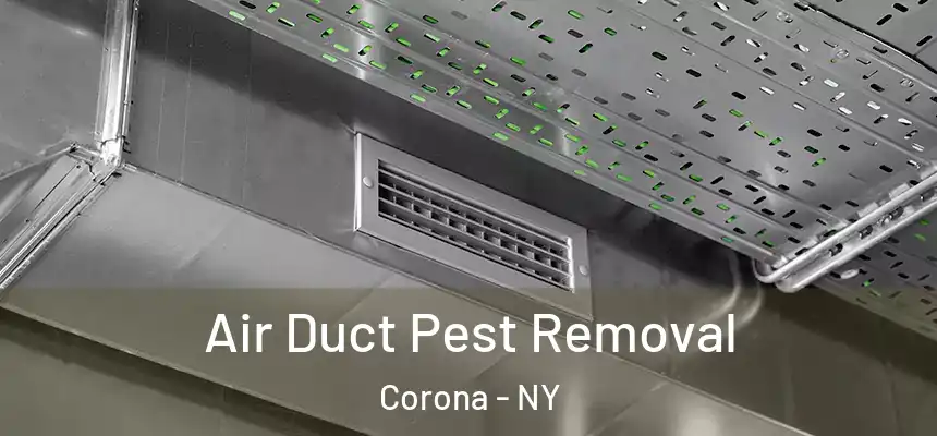 Air Duct Pest Removal Corona - NY