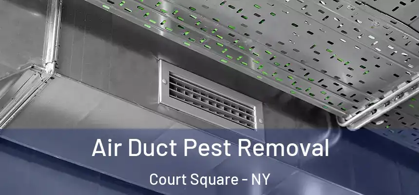  Air Duct Pest Removal Court Square - NY