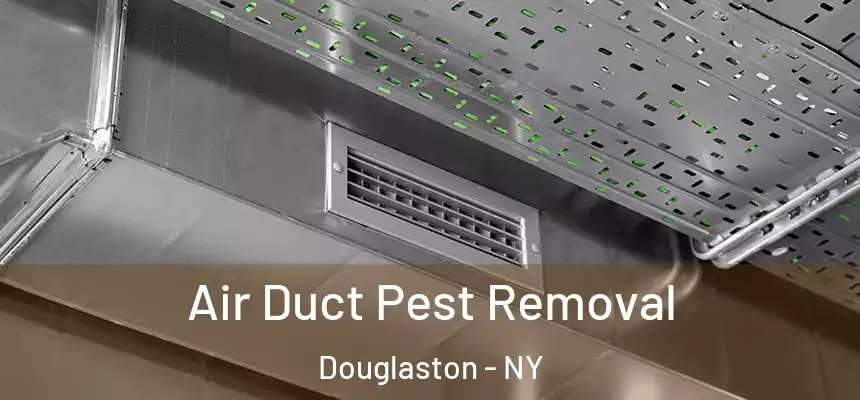 Air Duct Pest Removal Douglaston - NY