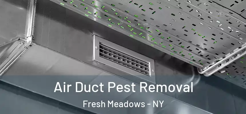 Air Duct Pest Removal Fresh Meadows - NY