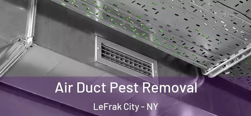  Air Duct Pest Removal LeFrak City - NY