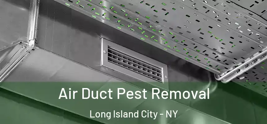 Air Duct Pest Removal Long Island City - NY
