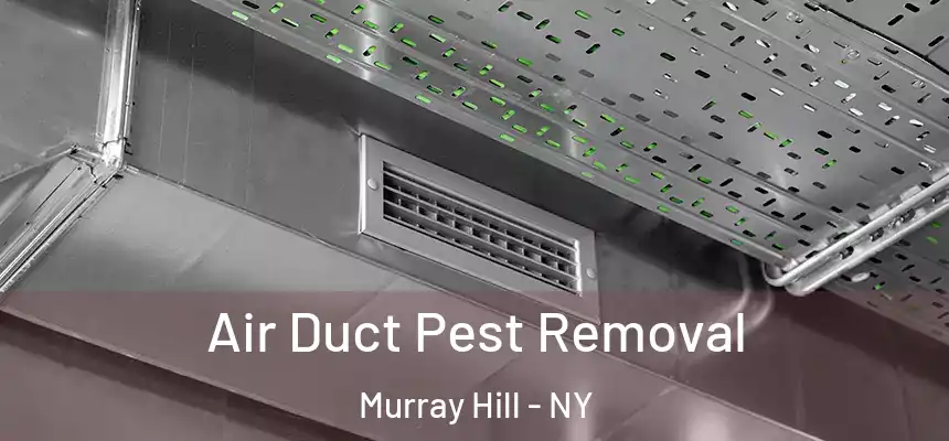  Air Duct Pest Removal Murray Hill - NY
