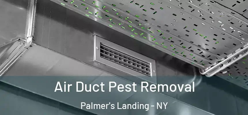  Air Duct Pest Removal Palmer's Landing - NY
