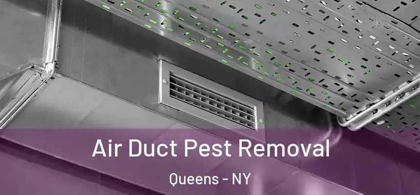 Air Duct Pest Removal Queens - NY