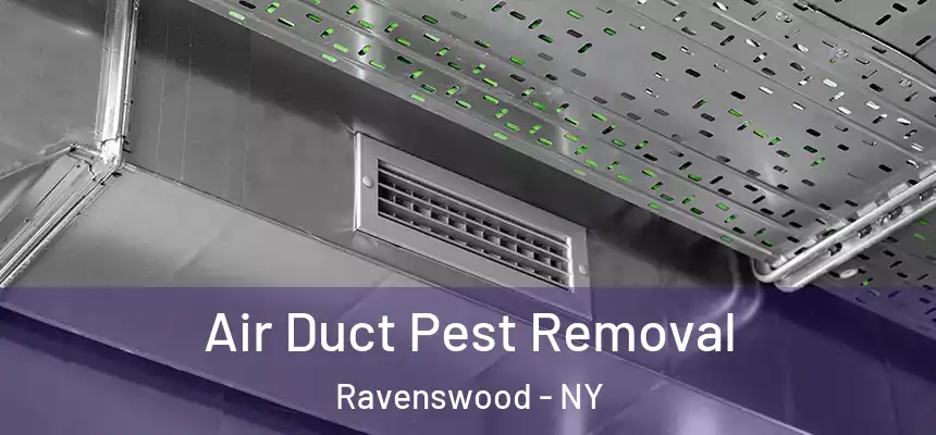  Air Duct Pest Removal Ravenswood - NY