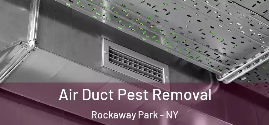  Air Duct Pest Removal Rockaway Park - NY