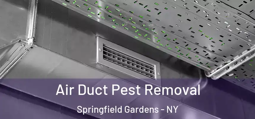  Air Duct Pest Removal Springfield Gardens - NY