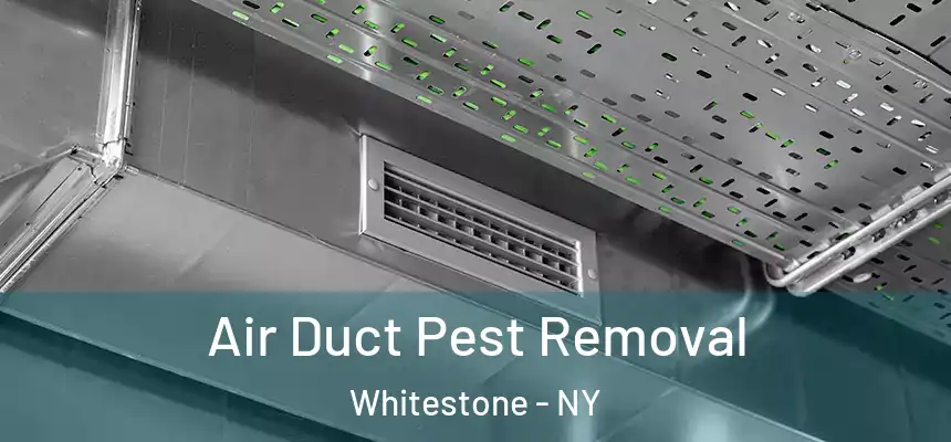 Air Duct Pest Removal Whitestone - NY