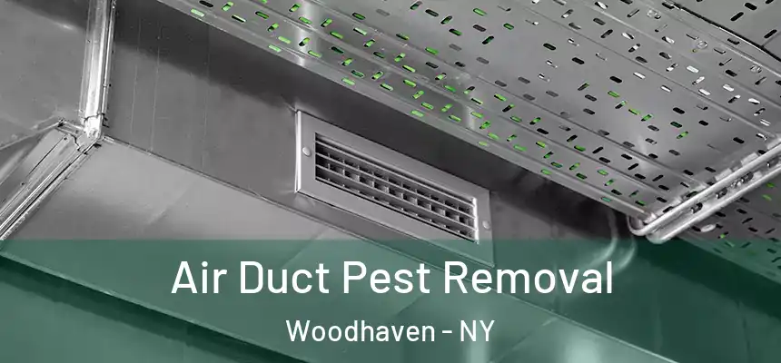  Air Duct Pest Removal Woodhaven - NY