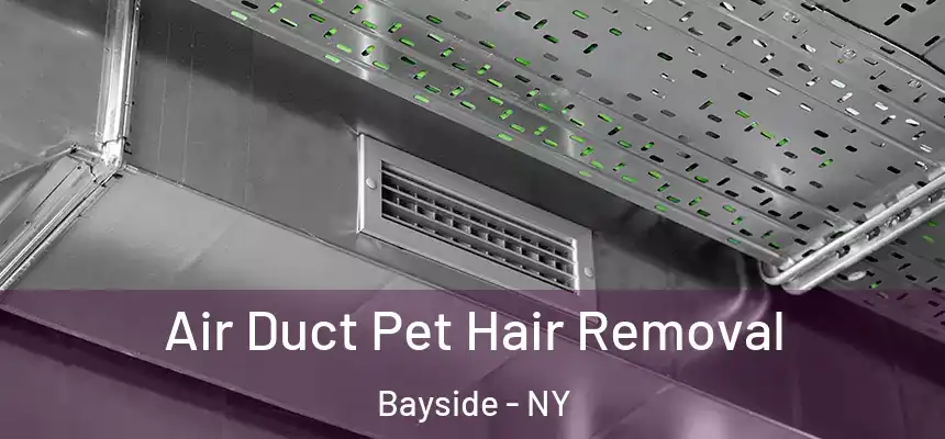  Air Duct Pet Hair Removal Bayside - NY