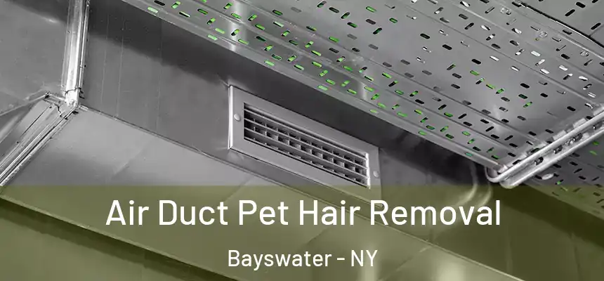 Air Duct Pet Hair Removal Bayswater - NY