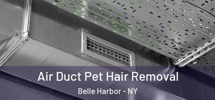 Air Duct Pet Hair Removal Belle Harbor - NY