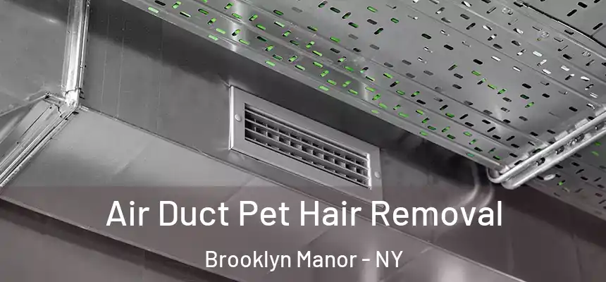 Air Duct Pet Hair Removal Brooklyn Manor - NY