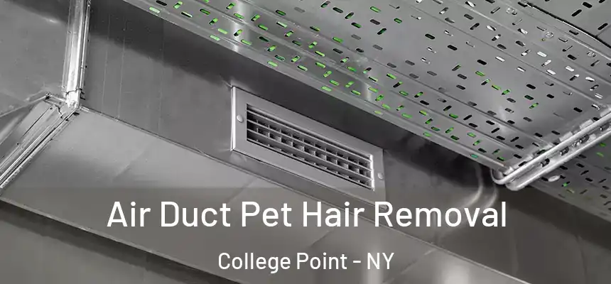 Air Duct Pet Hair Removal College Point - NY