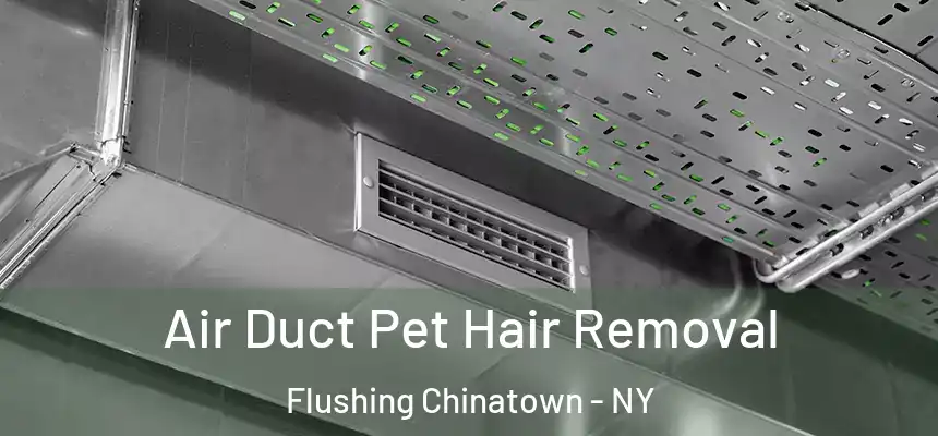 Air Duct Pet Hair Removal Flushing Chinatown - NY