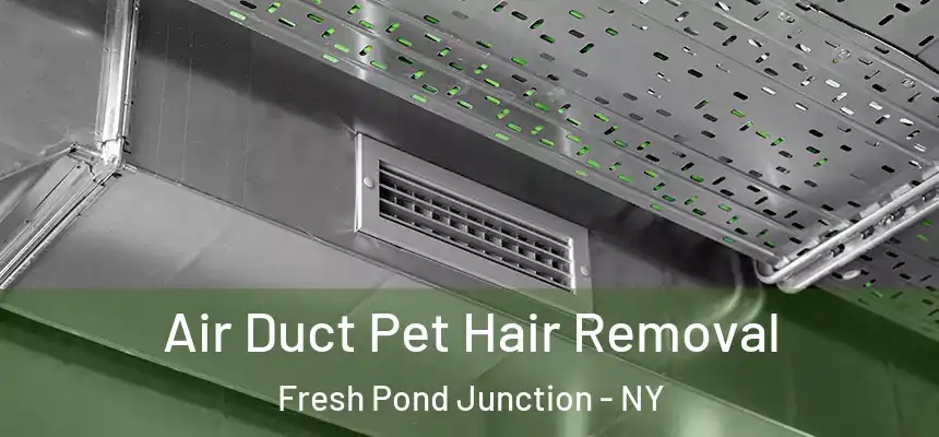 Air Duct Pet Hair Removal Fresh Pond Junction - NY