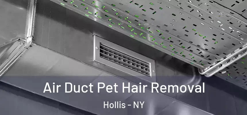 Air Duct Pet Hair Removal Hollis - NY