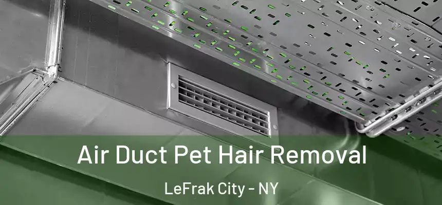  Air Duct Pet Hair Removal LeFrak City - NY