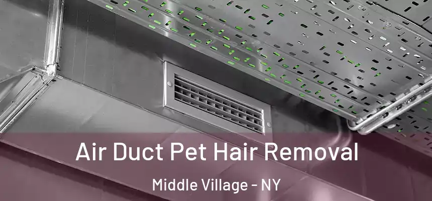  Air Duct Pet Hair Removal Middle Village - NY