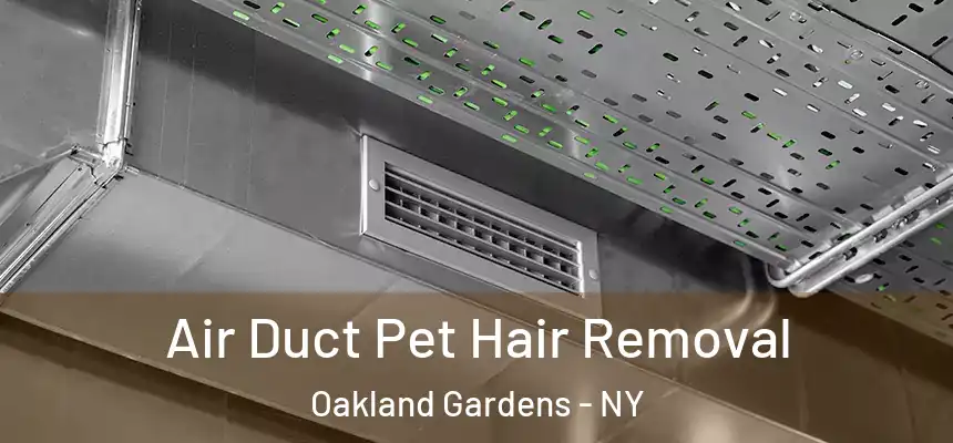  Air Duct Pet Hair Removal Oakland Gardens - NY