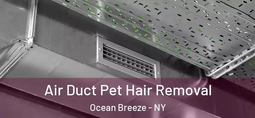Air Duct Pet Hair Removal Ocean Breeze - NY