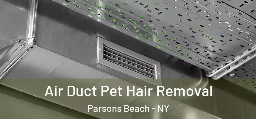 Air Duct Pet Hair Removal Parsons Beach - NY