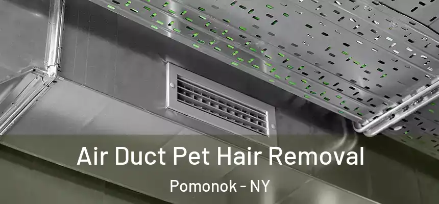 Air Duct Pet Hair Removal Pomonok - NY