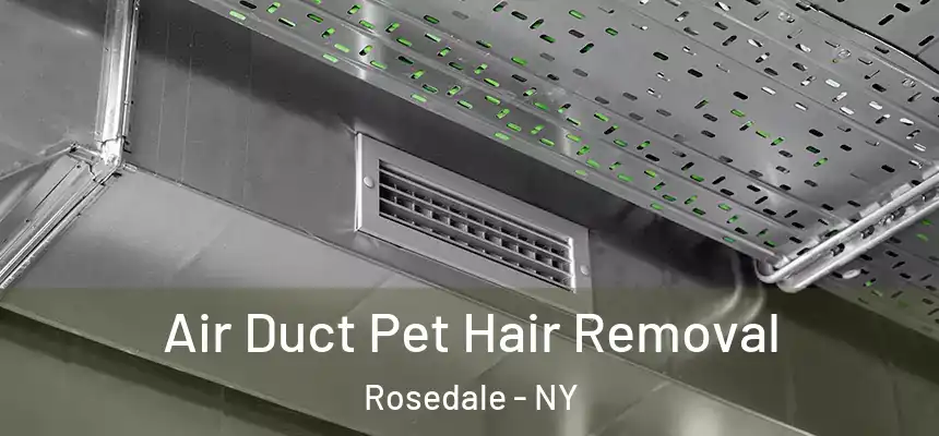  Air Duct Pet Hair Removal Rosedale - NY