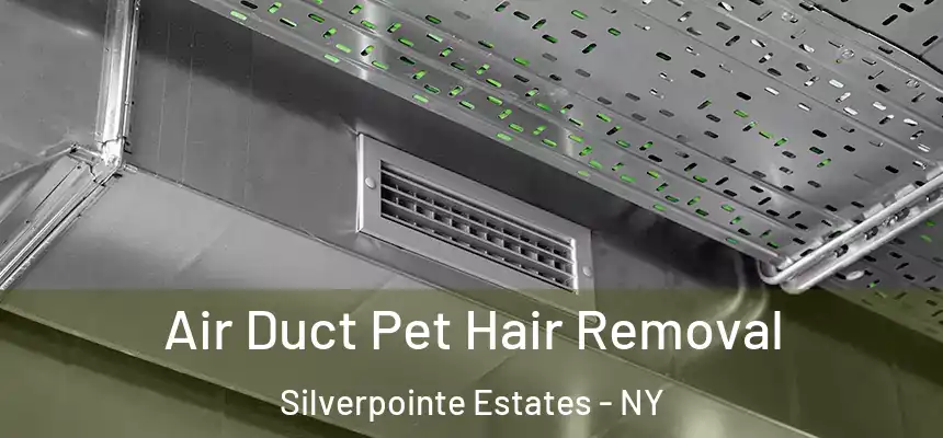  Air Duct Pet Hair Removal Silverpointe Estates - NY