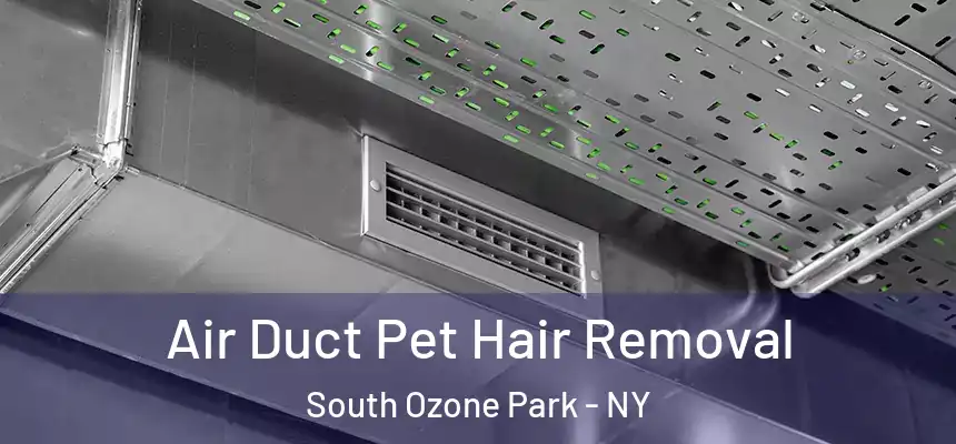  Air Duct Pet Hair Removal South Ozone Park - NY