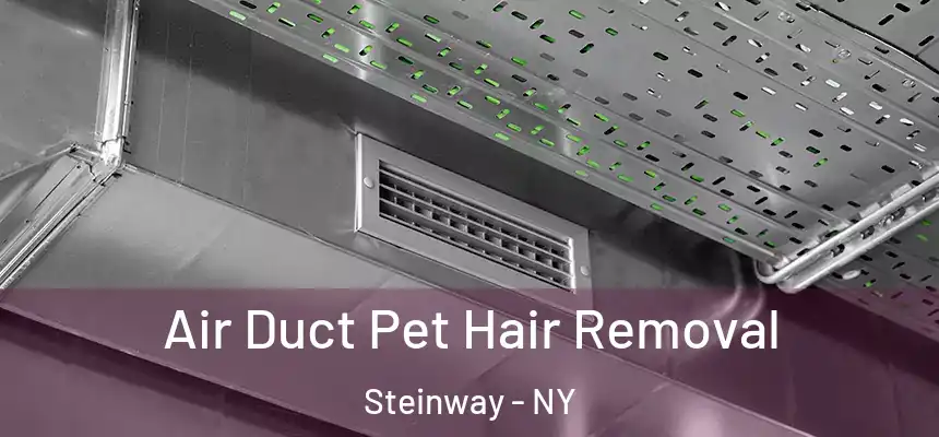  Air Duct Pet Hair Removal Steinway - NY