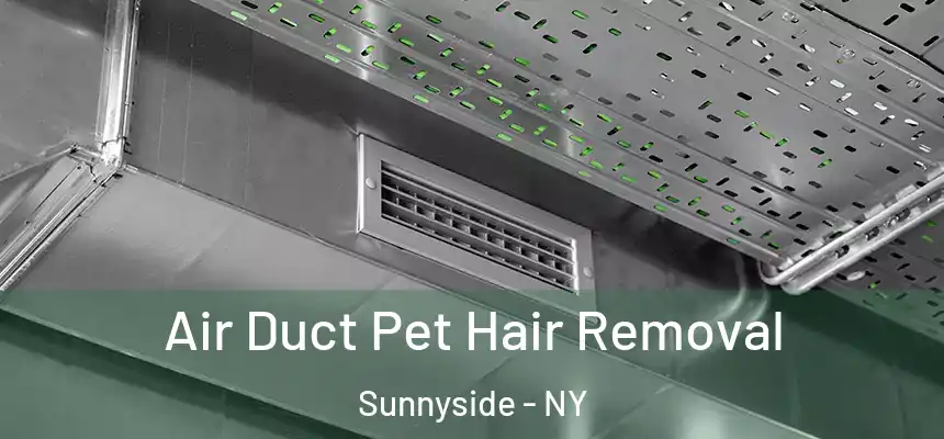 Air Duct Pet Hair Removal Sunnyside - NY