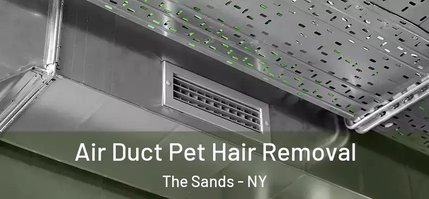 Air Duct Pet Hair Removal The Sands - NY
