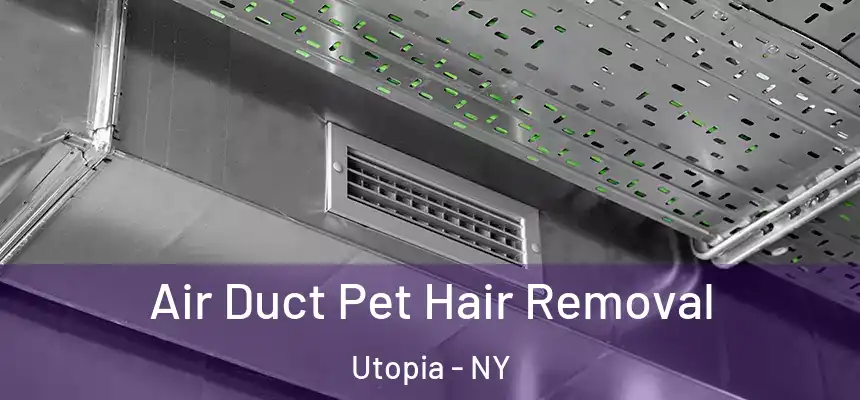  Air Duct Pet Hair Removal Utopia - NY