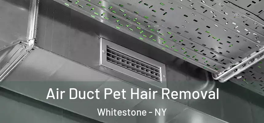 Air Duct Pet Hair Removal Whitestone - NY