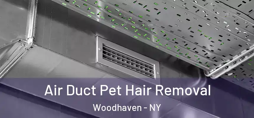 Air Duct Pet Hair Removal Woodhaven - NY