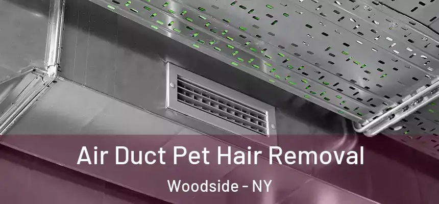 Air Duct Pet Hair Removal Woodside - NY