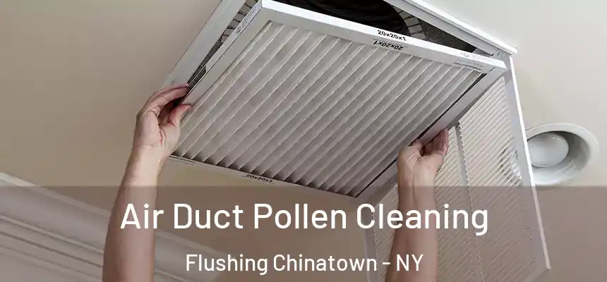 Air Duct Pollen Cleaning Flushing Chinatown - NY