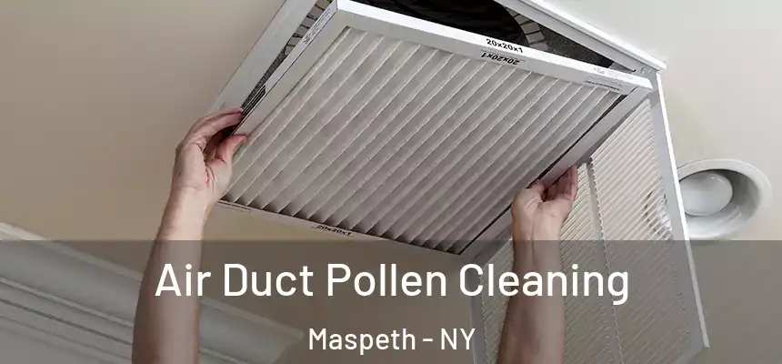  Air Duct Pollen Cleaning Maspeth - NY
