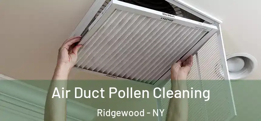  Air Duct Pollen Cleaning Ridgewood - NY