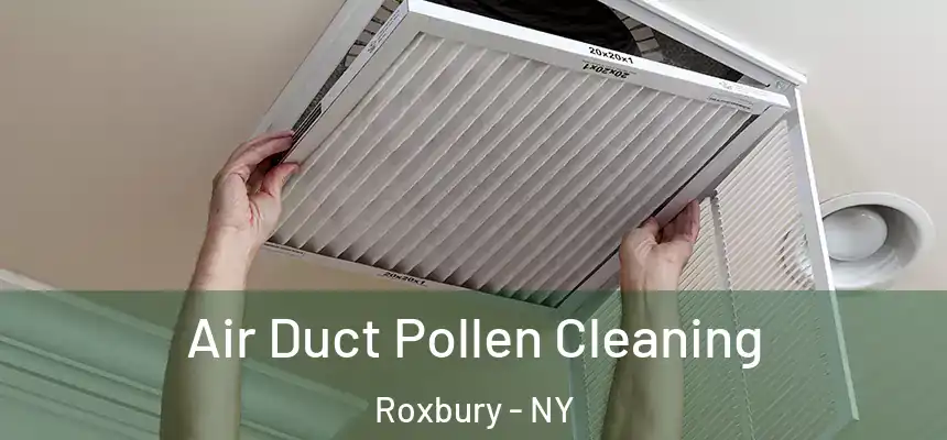  Air Duct Pollen Cleaning Roxbury - NY