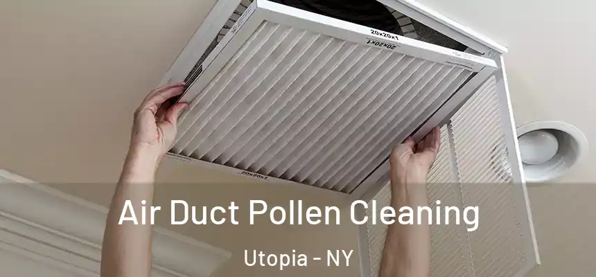  Air Duct Pollen Cleaning Utopia - NY