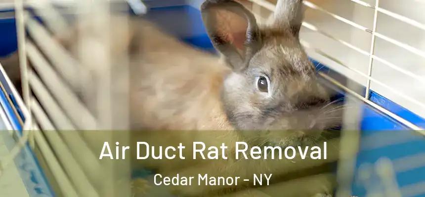  Air Duct Rat Removal Cedar Manor - NY