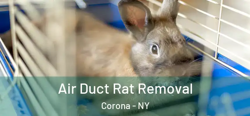 Air Duct Rat Removal Corona - NY